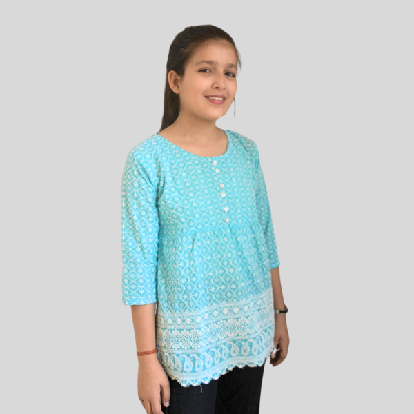 Blue Round Neck Embroidered Cotton Top| Casual Wear