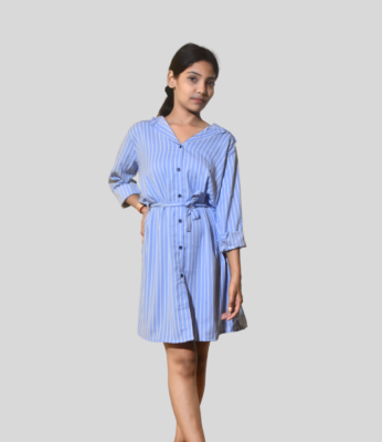 Women’s Blue Striped Dress